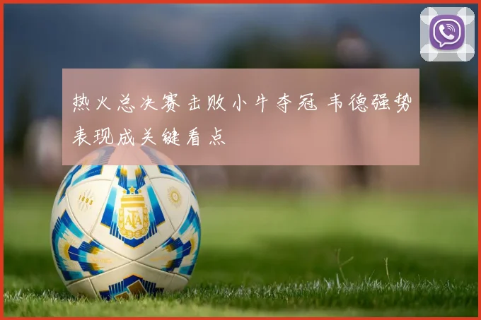 热火总决赛击败小牛夺冠 韦德强势表现成关键看点