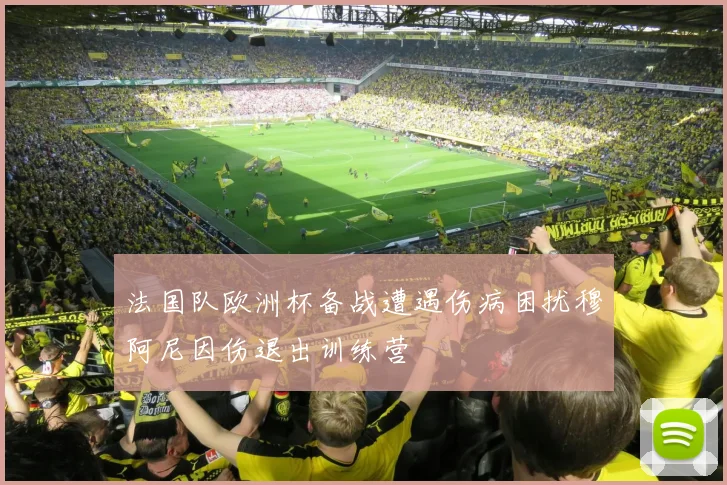 法国队欧洲杯备战遭遇伤病困扰穆阿尼因伤退出训练营