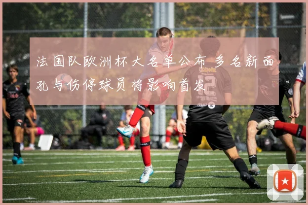 法国队欧洲杯大名单公布 多名新面孔与伤停球员将影响首发