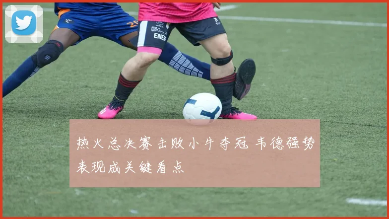 热火总决赛击败小牛夺冠 韦德强势表现成关键看点