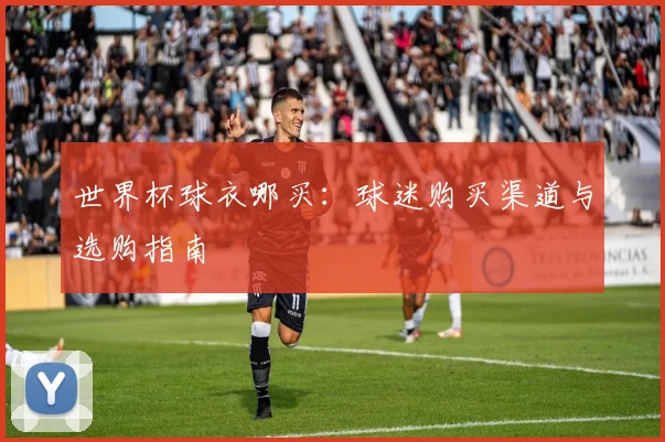 世界杯球衣哪买:球迷购买渠道与选购指南