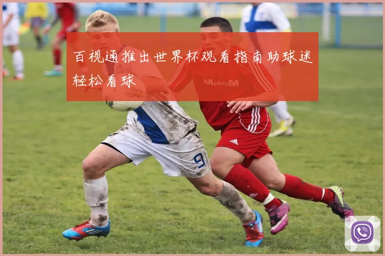 百视通推出世界杯观看指南助球迷轻松看球