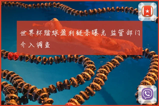 世界杯赌球盈利链条曝光 监管部门介入调查