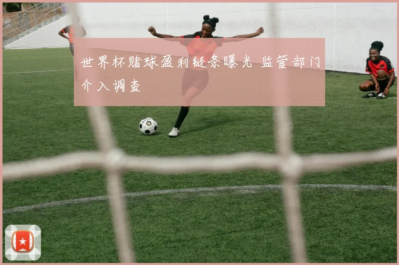 世界杯赌球盈利链条曝光 监管部门介入调查